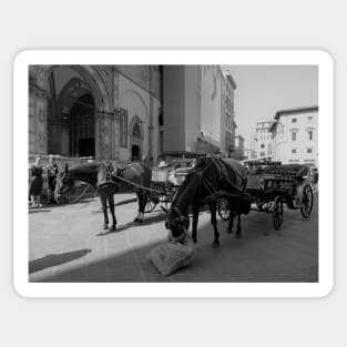 Horses eating hay from hay bale at Cathedral of Florence Sticker